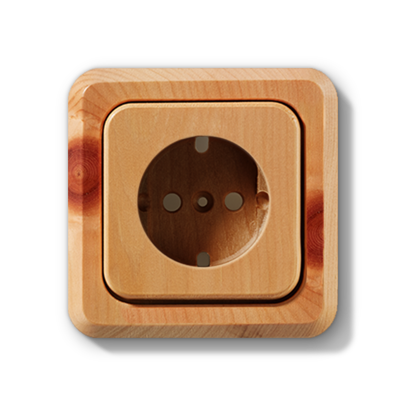 Steckdose Zirbelkiefer