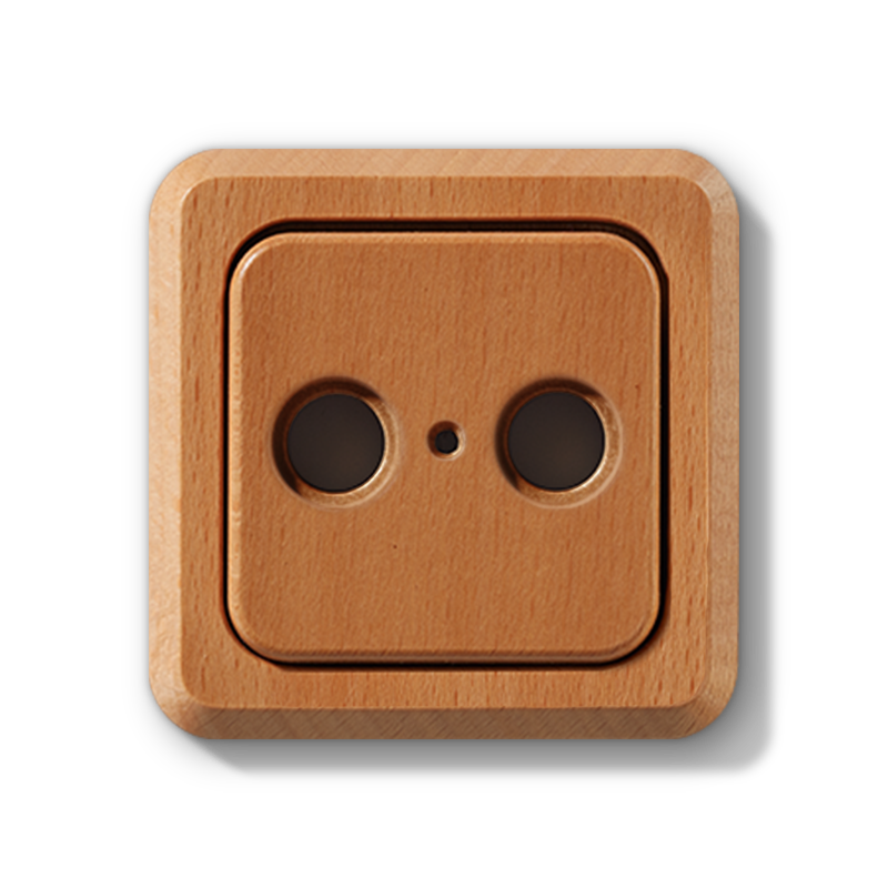 TV-Steckdose Buche